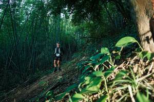 BIB: 
                            <button type="button" onclick="openModal(28124128)" class="btn btn-primary btn-sm float-right btn-popup" data-toggle="modal" data-target=".modal-high-quality">
                        <i class="fas fa-shopping-cart"></i> Add to Cart
                    </button>
                                            <button type="button" onclick="isThisMe(28124128, true)" class="btn btn-success btn-sm float-right btn-popup btn-isme hidden" data-toggle="tooltip" data-placement="bottom" title="นี่คือรูปของคุณใช่ไหม คลิกที่นี่เพื่อเอาเข้าอัลบั้ม">
                        <i class="fas fa-plus"></i> Add to album
                    </button>
                    <button type="button" onclick="isThisMe(28124128, false)" class="btn btn-warning btn-sm float-right btn-popup btn-isnotme hidden">
                        <i class="fas fa-ban"></i> Remove from album
                    </button>